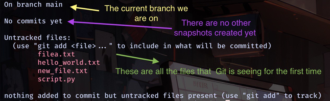git status anatomy